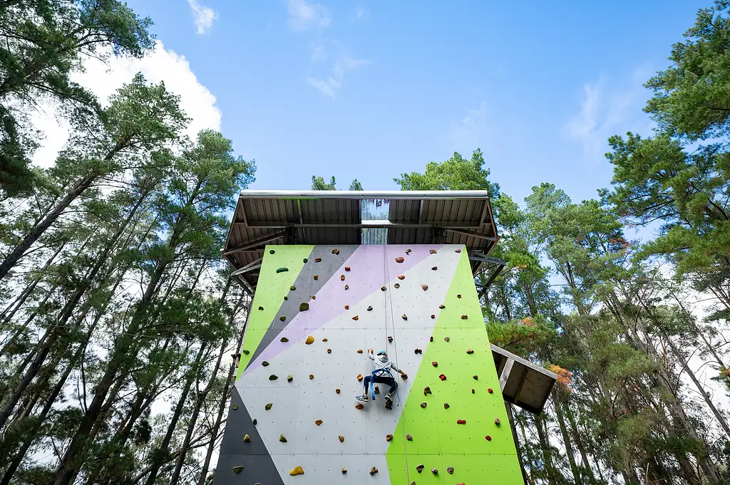 Rock Climb & Ropes Course - Southern Adventure Hub