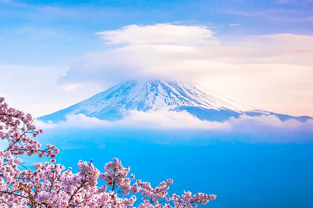 1-day Tour To Mount Fuji, Oshino Hakkai | With Outlets Or Hot Springs