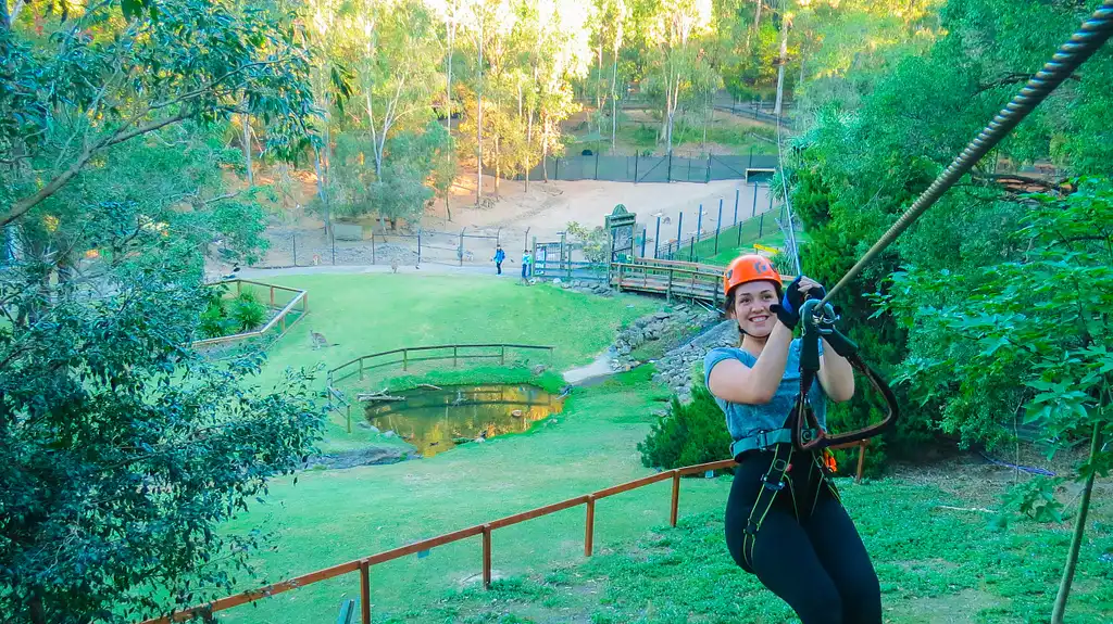 Treetop Challenge Currumbin Wildlife Sanctuary