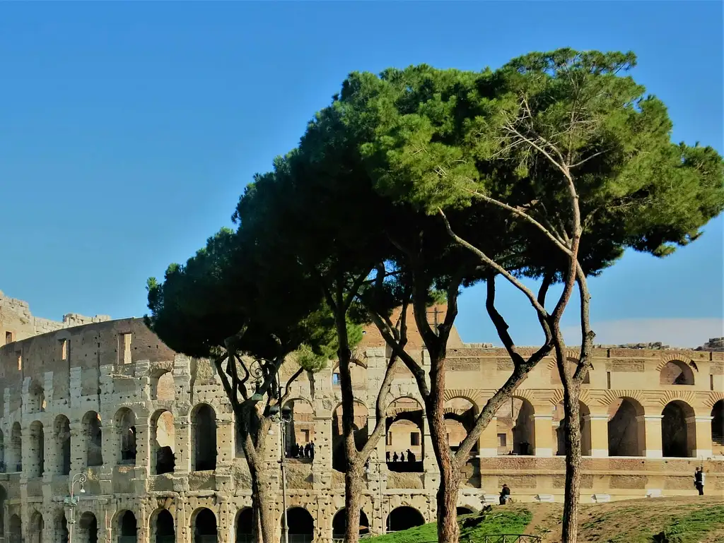 Restricted areas tour of Gladiator's Arena and Roman Forum