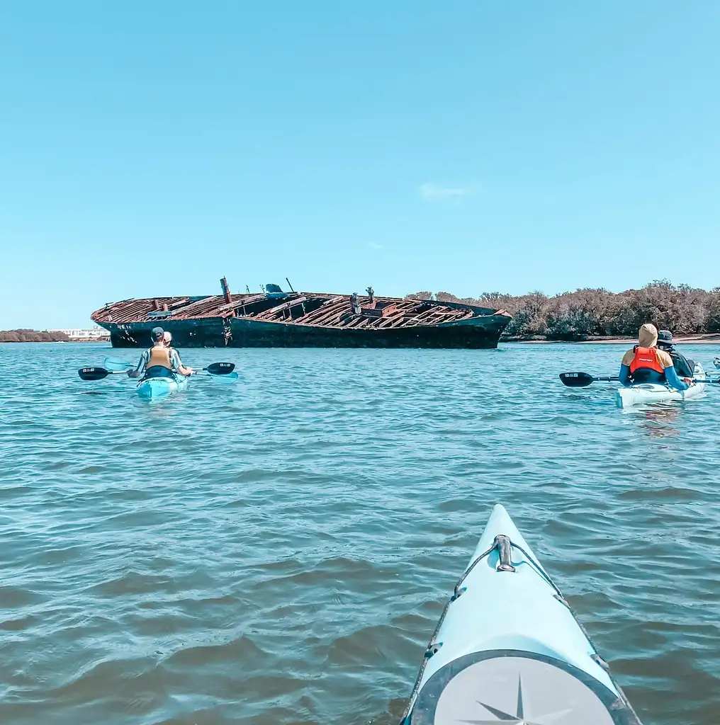 Adelaide Dolphin Sanctuary Guided Eco Kayak Tour