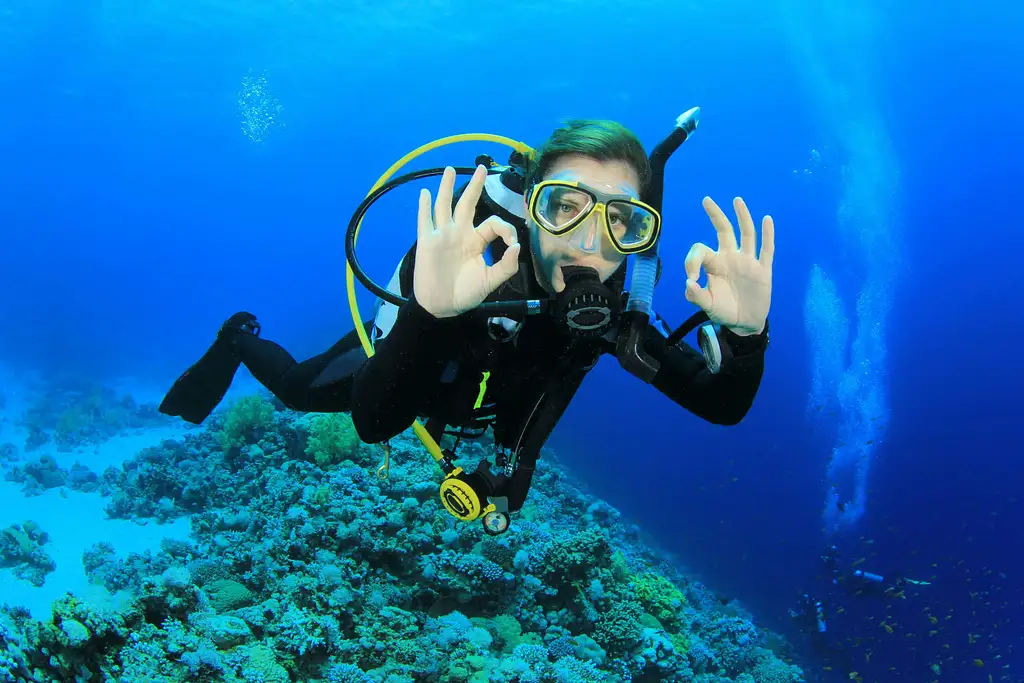 Scuba Dive Trip With Transfer From Dubai