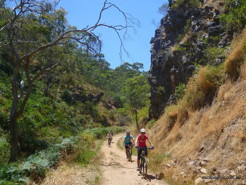 Mount Lofty Bike Tour