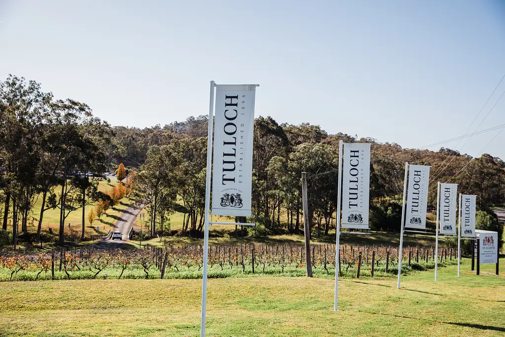 Tulloch Wines Vertical Tasting of Pokolbin Dry Red Shiraz - 6 Vintages + Charcuterie