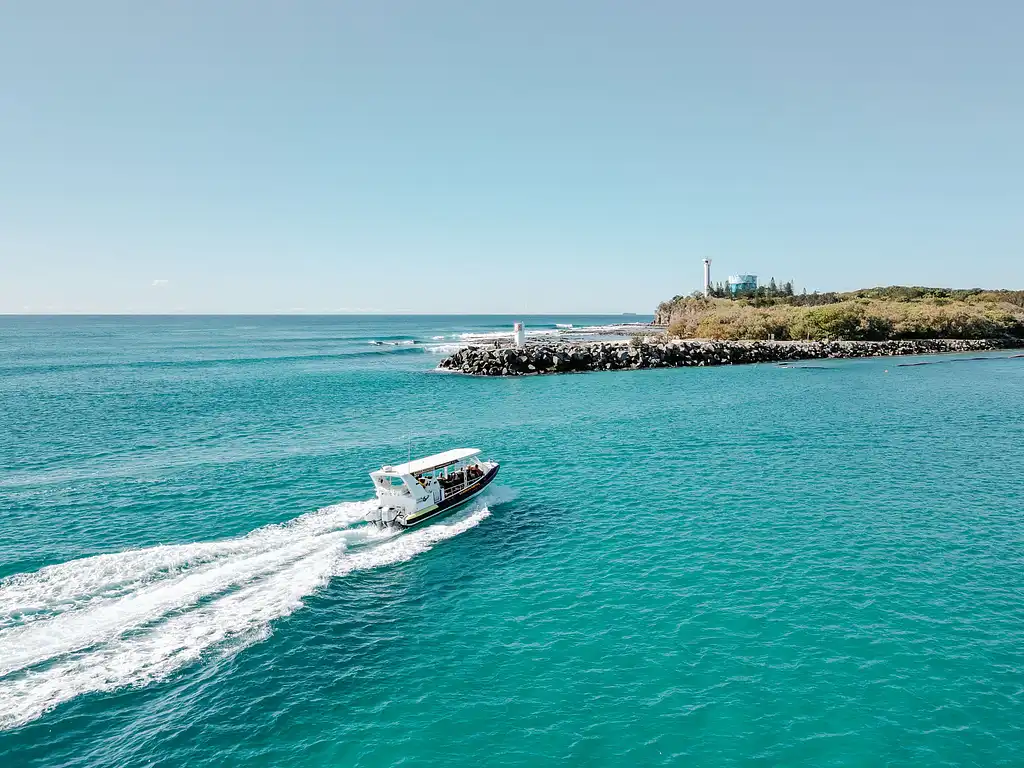 Mooloolaba Whale Watching 2 Hour Experience - Small Group