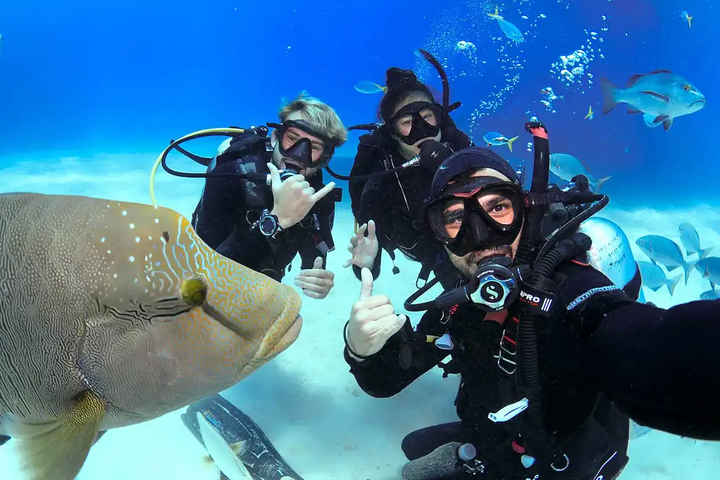 6 Day PADI Open Water & Advanced Course with 3 Night Liveaboard