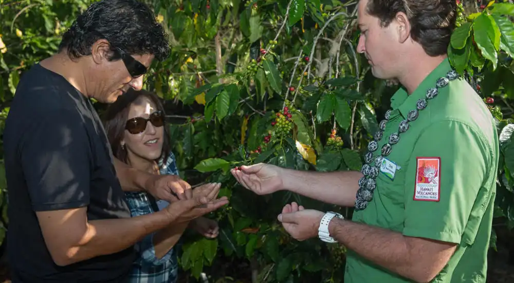 Big Island Twilight Volcano and Stargazing Tour