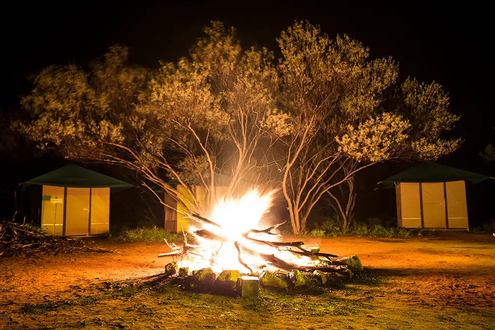 Alice Springs to Alice Springs Uluru Tour - 2 Days 1 Night