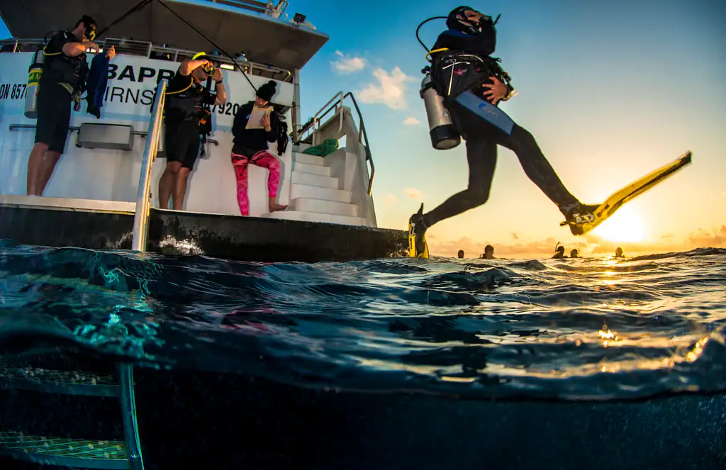 Cairns 5 Day PADI Learn To Dive Course + 2 Night Liveaboard Experience | Great Barrier Reef