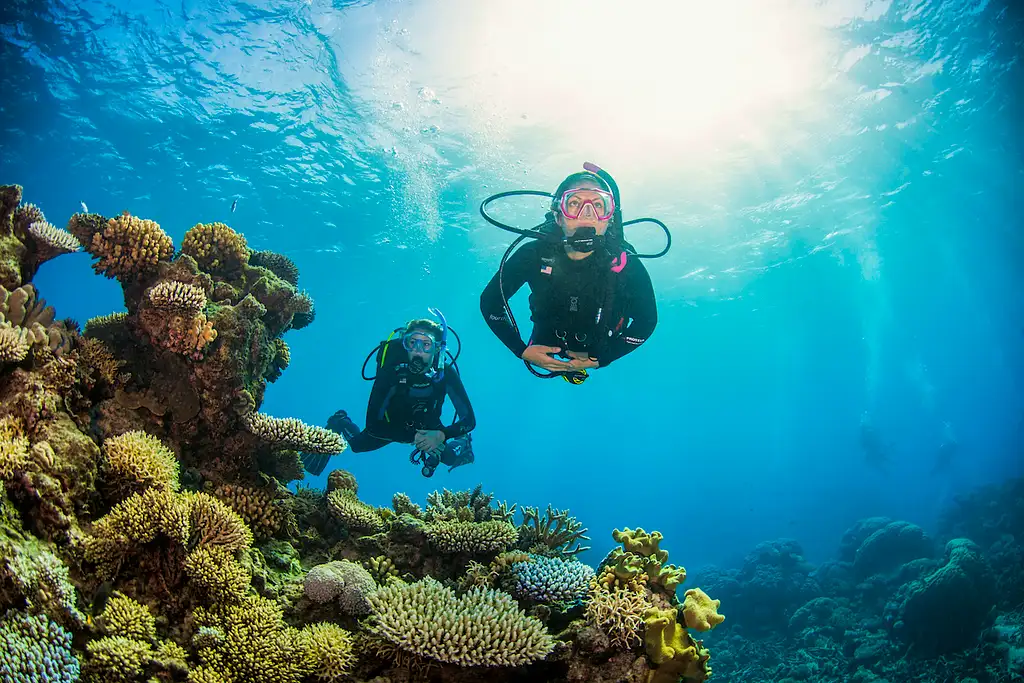 Cairns 5 Day PADI Learn To Dive Course + 2 Night Liveaboard Experience | Great Barrier Reef