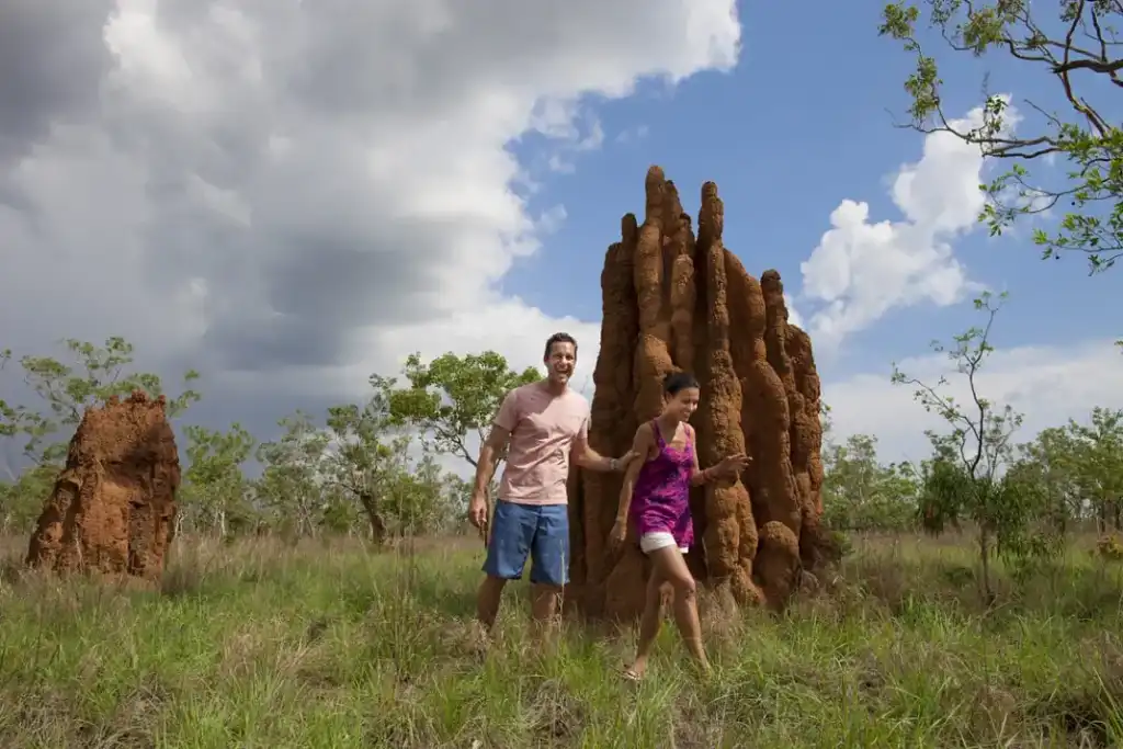 1 Day Kakadu Wildlife & Rock Art Tour