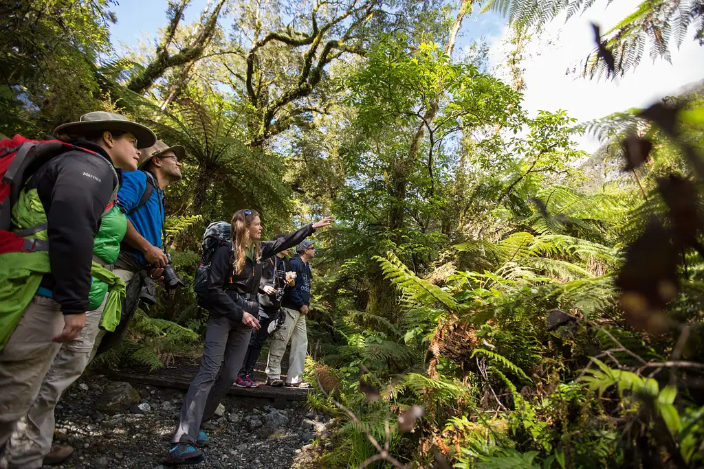 Milford Track Guided Walk - From Milford Sound