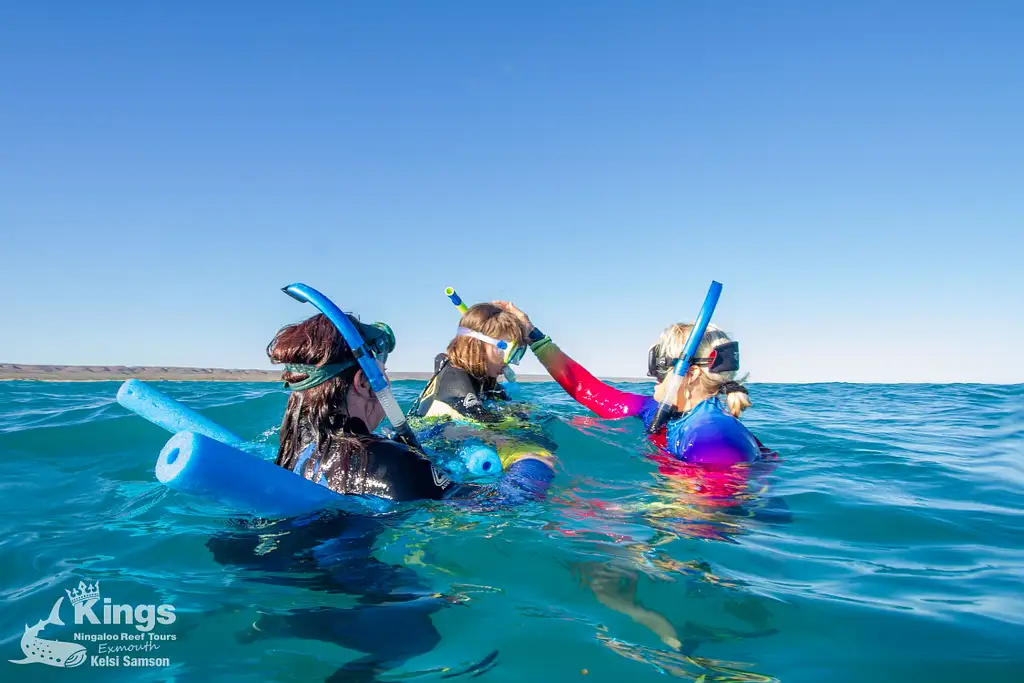 Whale Shark & Humpback Whale Eco Tour (Aug-Sept) | Departing Exmouth