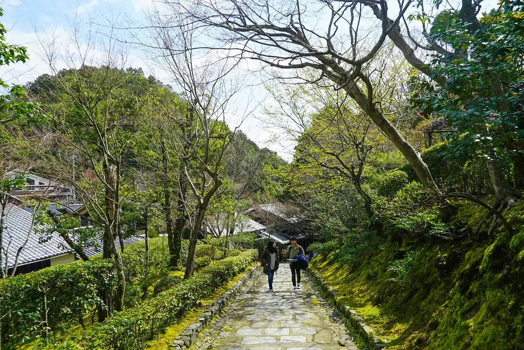 Kyoto Arashiyama Bamboo forest & Garden Half-Day Walking Tour