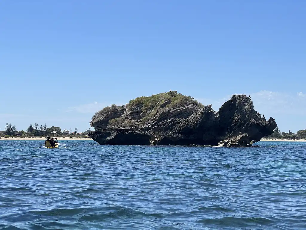 Seal And Penguin Islands Sea Kayak Day Tour