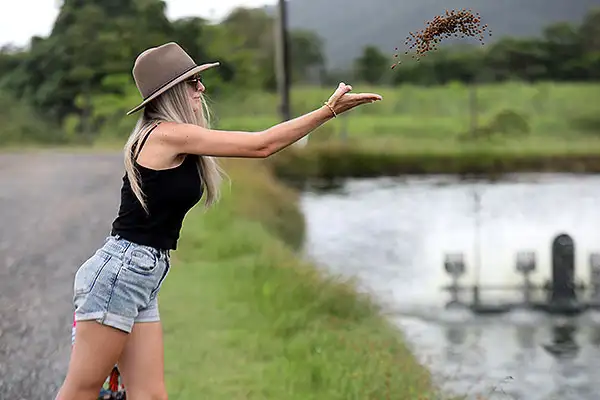 1 Hour Barramundi Gourmet Farm Tour