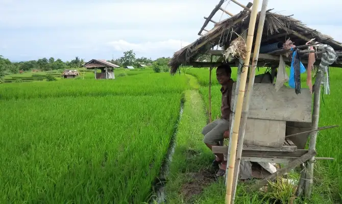 Bali Local's Tour