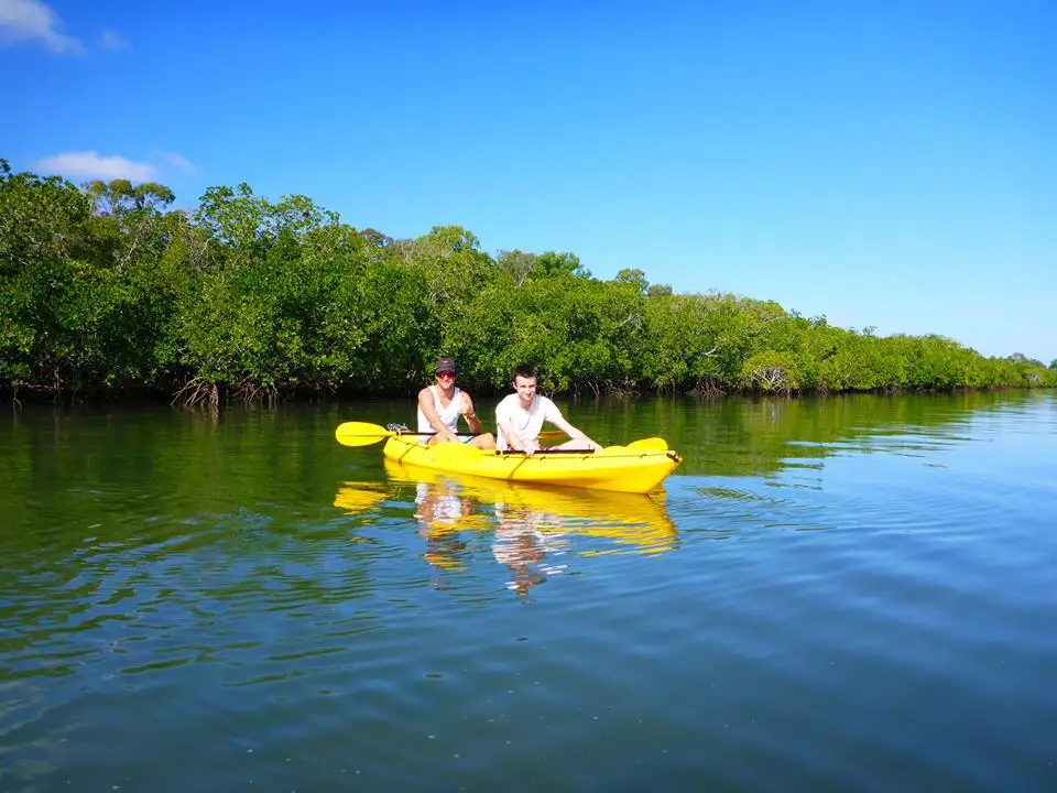 Rainbow Beach Turtle View Kayak Tour