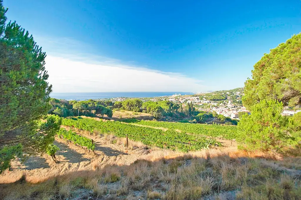 Coastline To The Vineyards, Winery Tour And Wine Tasting | eBike Adventure From Barcelona