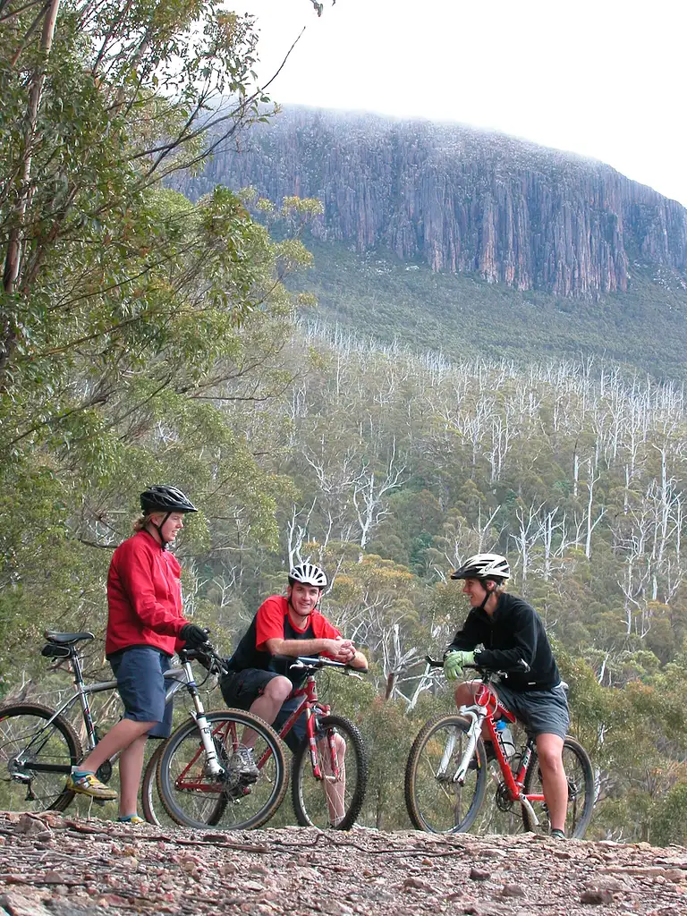 Mt. Wellington Bike Tour From Hobart