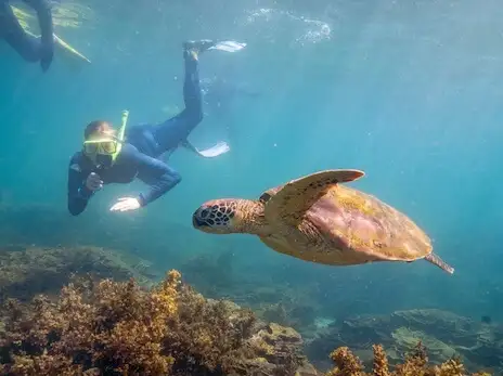 Magnetic Island's Sea the Secret Seven Snorkel Cruise