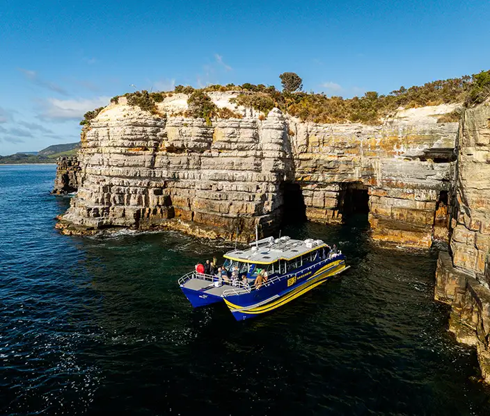 Cape Raoul Cruise with Port Arthur Day Tour | From Hobart