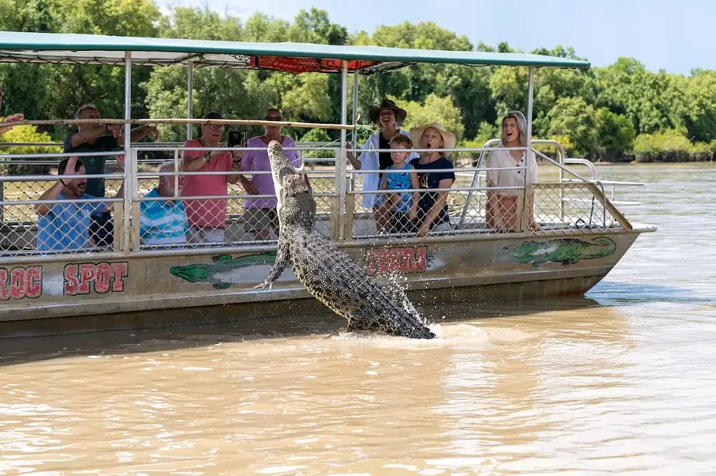 Jumping Crocodile Tour | From Darwin