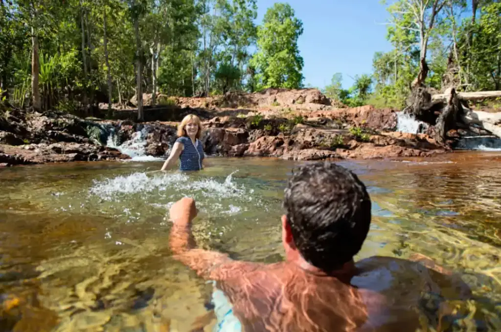 Litchfield National Park Tour | From Darwin (with Croc Cruise option)