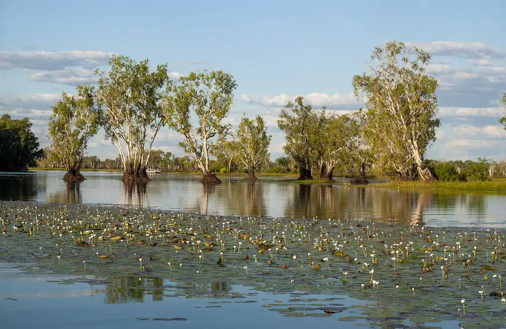 Darwin To Kakadu Day Trip By Air Including Yellow Water Cruise