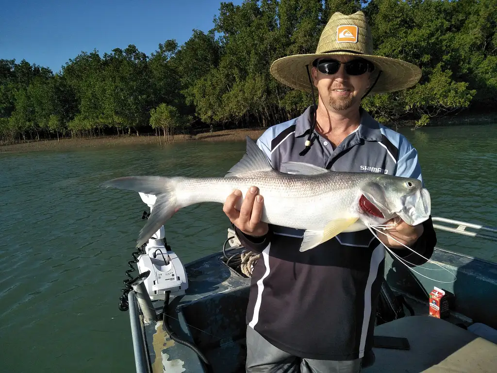 Full Day Barramundi Fishing at Corroboree Billabong