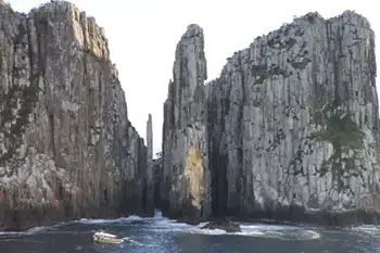 Tasman Island 3 Hour Cruise - Departing Port Arthur