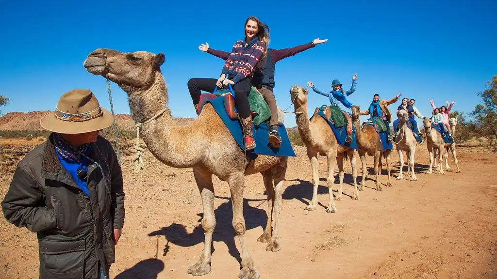 1 Hour Camel Ride Alice Springs