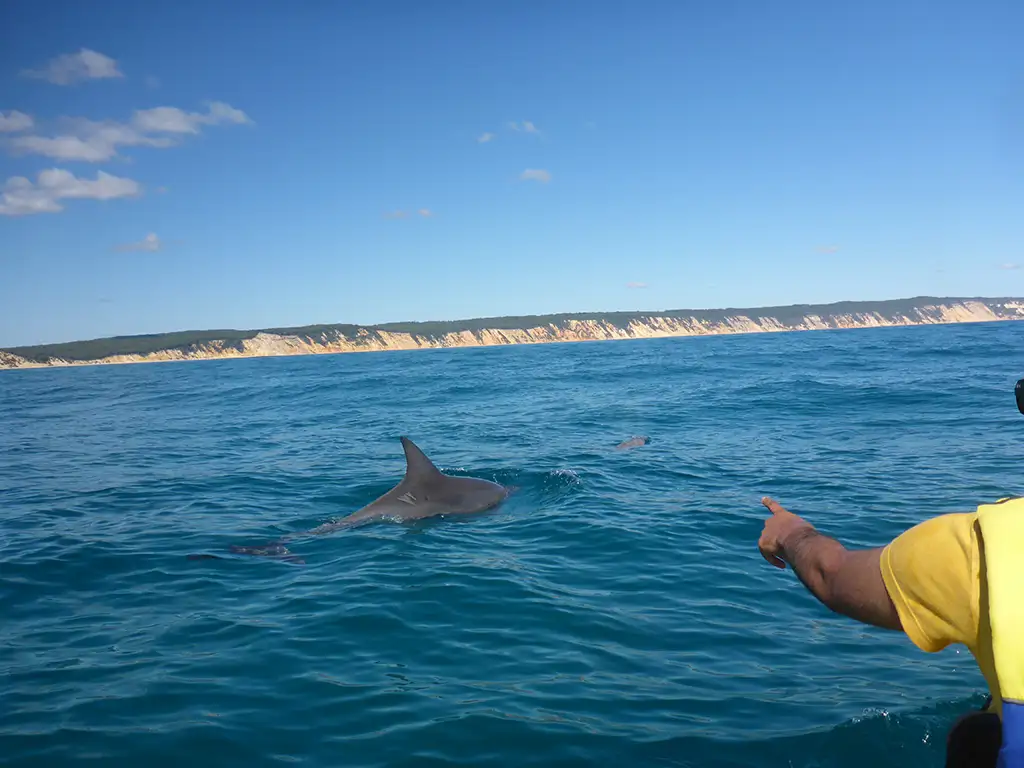 Dolphin View Kayak + Great Beach Drive Adventure - Rainbow Beach Tour