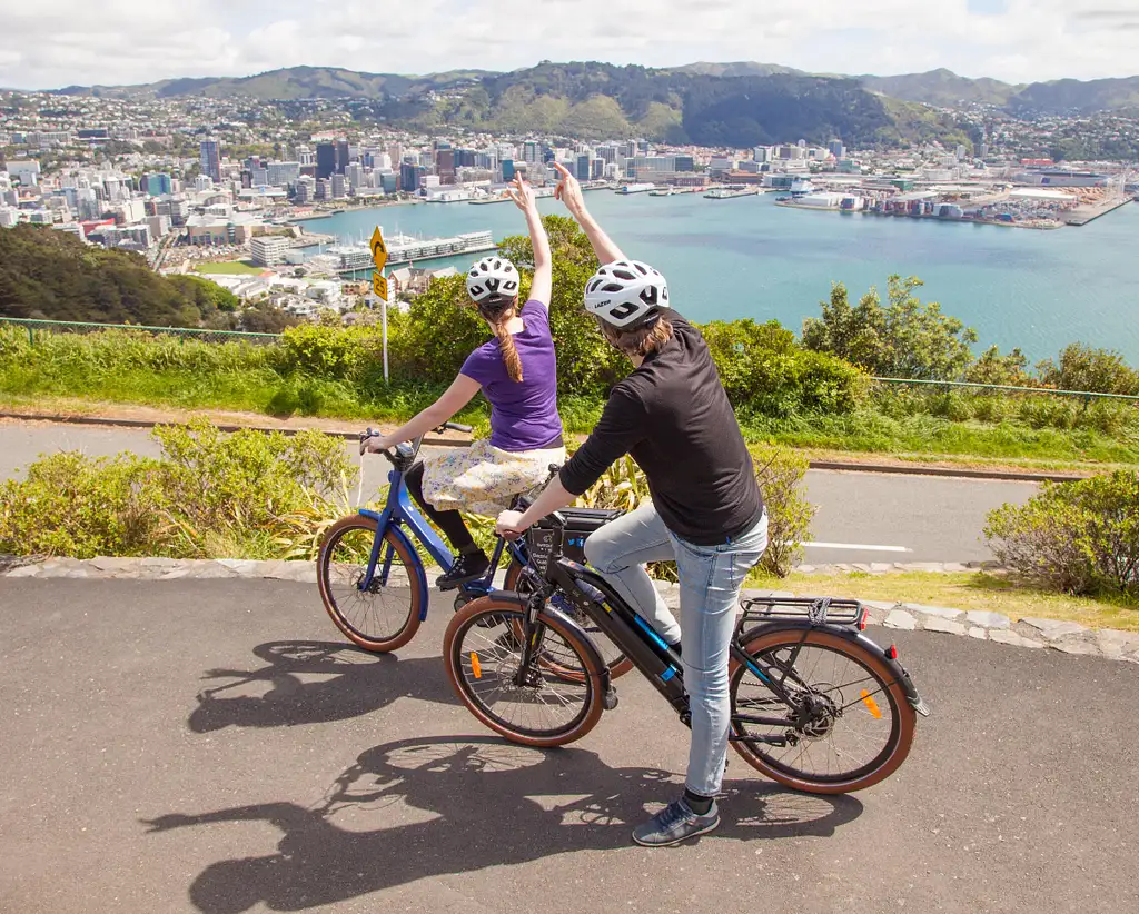 Half Day Wellington & Surrounds E-bike Tour