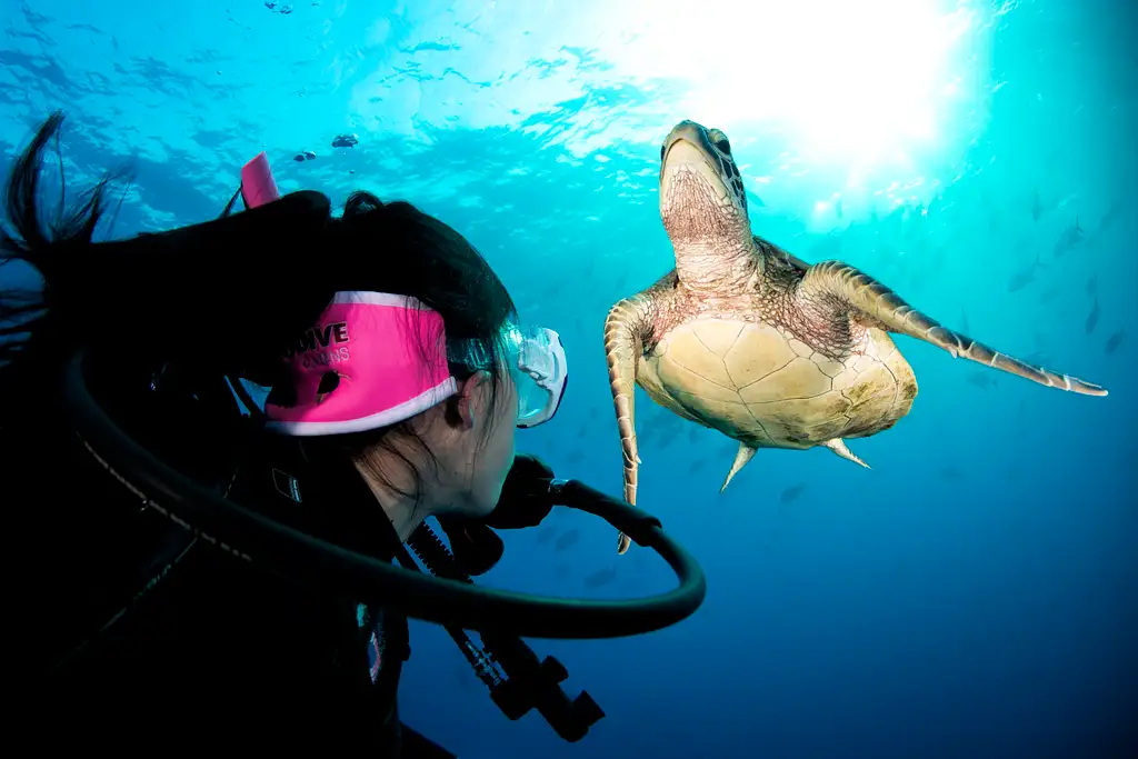 3 Day Great Barrier Reef Liveaboard Package | Snorkel or Dive