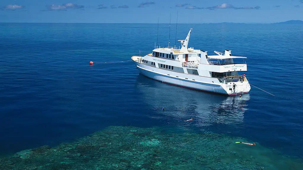 3 Night Liveaboard Dive Trip | Cod Hole & Ribbon Reef | Great Barrier Reef