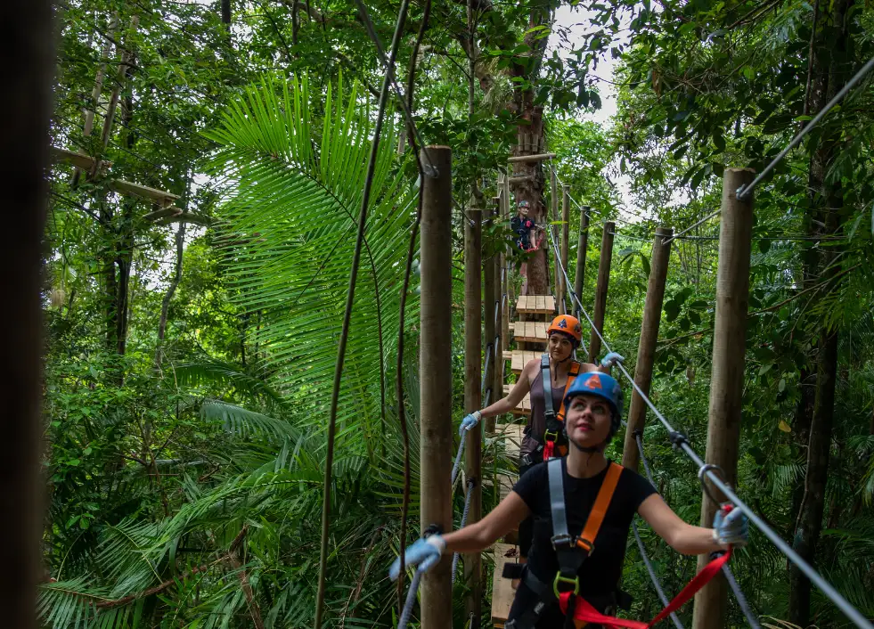 Zipline Tour Cape Tribulation