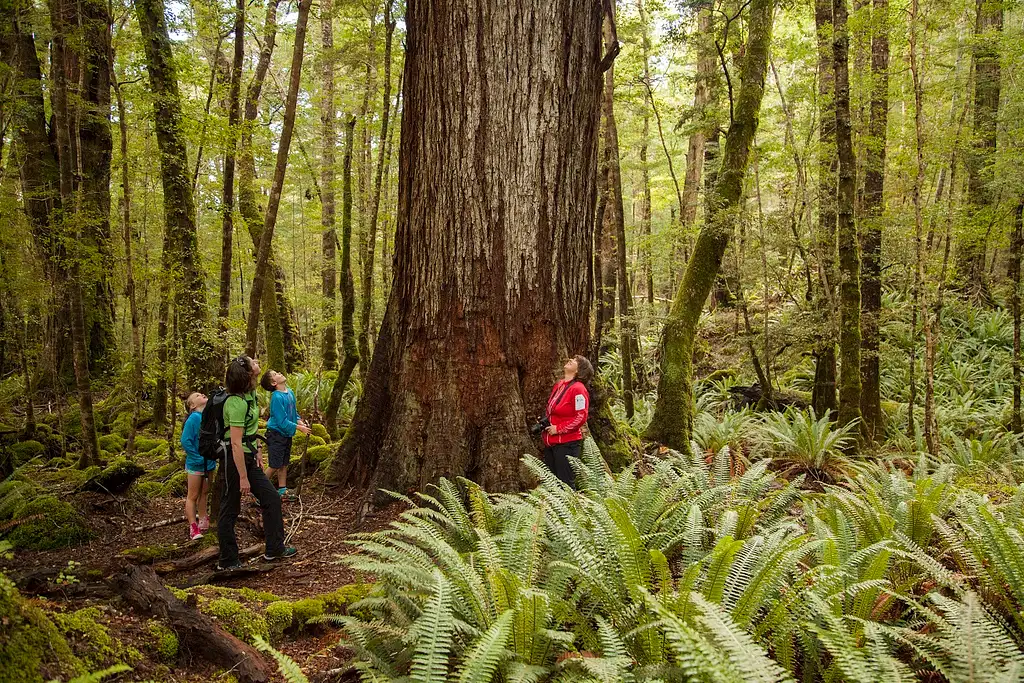 Jet Boat + Kepler Track Hike | Te Anau