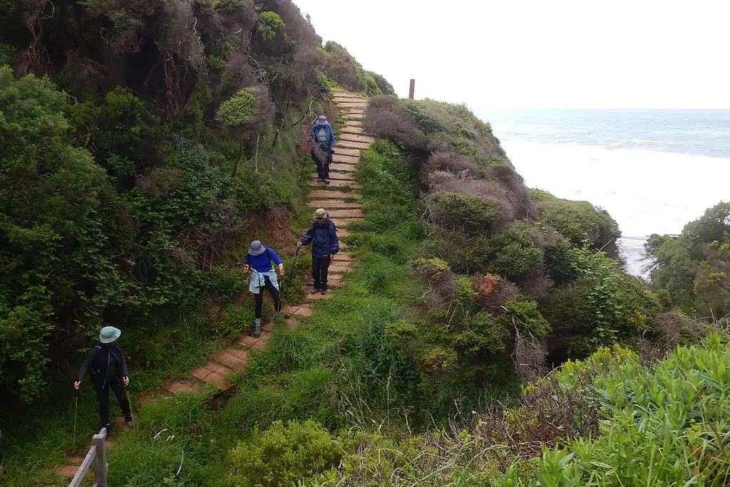 7 Day Hike the Great Ocean Road