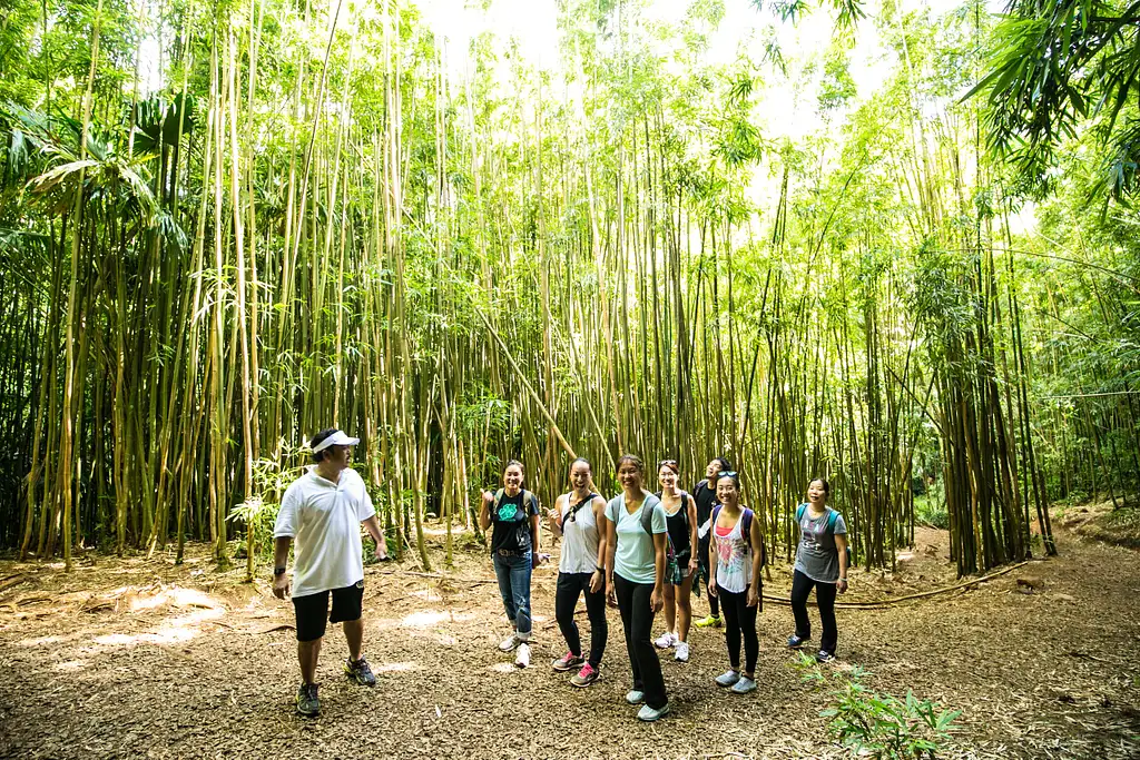 Hawaii Rainforest Hike