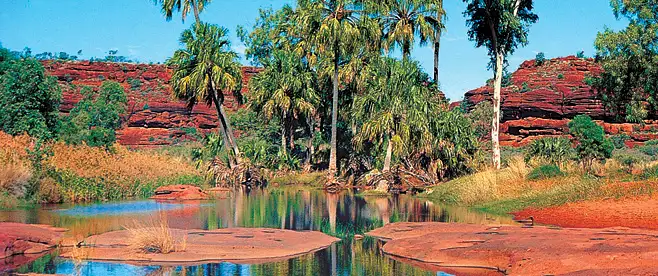 Palm Valley Outback Safari by 4WD