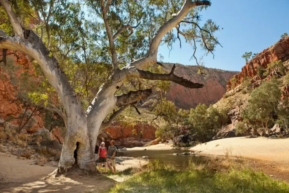 4 Day Red Centre to West MacDonnell Tour from Ayers Rock/Yulara