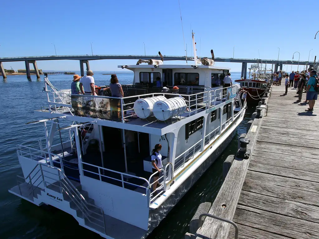 Phillip Island Dolphin & Whale Cruise