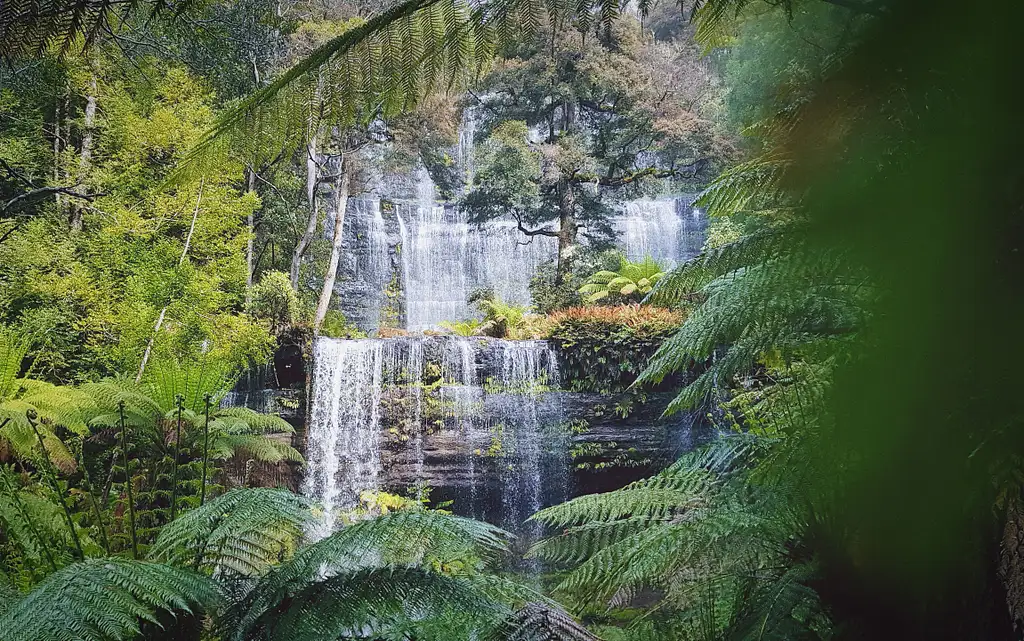 7 Day Super 7 Tour of Tasmania | Hobart to Hobart