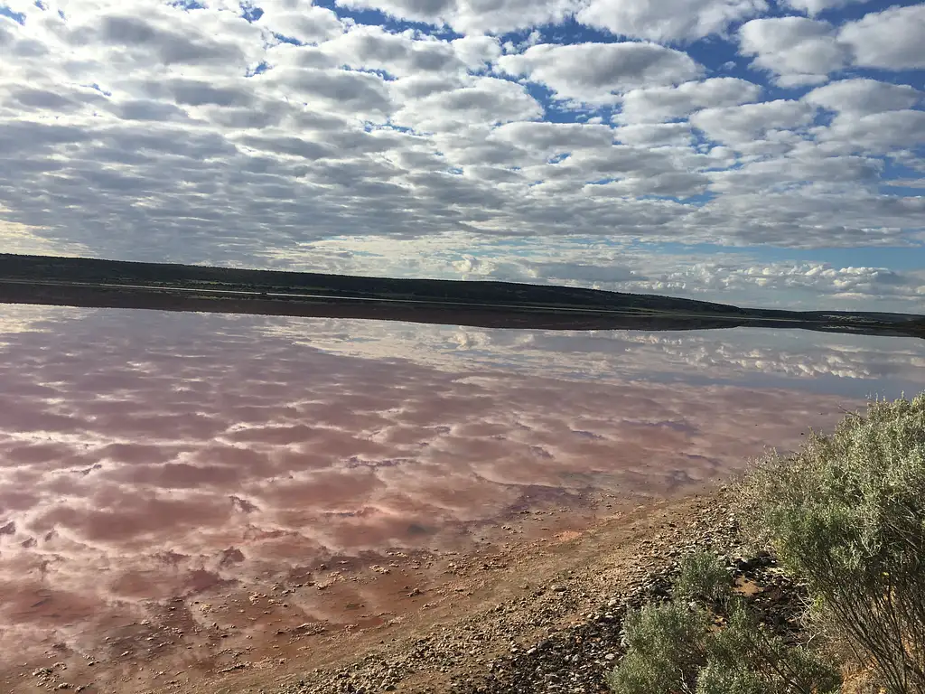 Pink Lake Buggy Tour | Western Australia