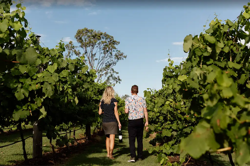 The Ultimate Sunshine Coast Gourmet Tasting Experience | Private Tour