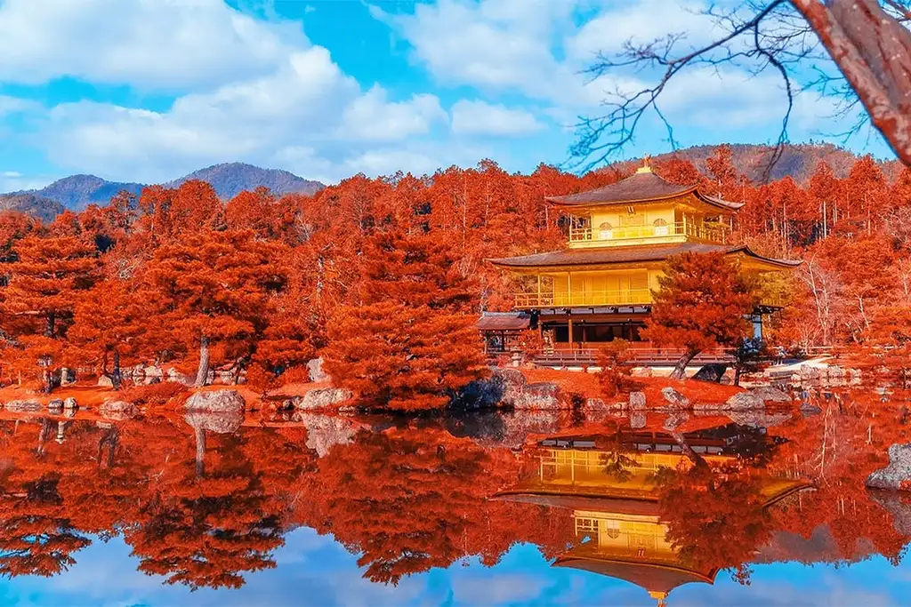 Kyoto temples, shrines, and Kimonos Guided Day Tour | Full Day Tour