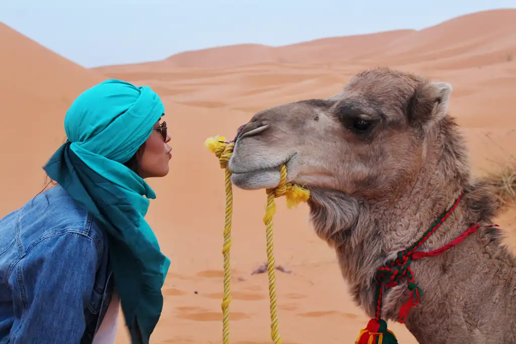 15 Day Highlights of Morocco Casablanca to Marrakesh | G Adventures