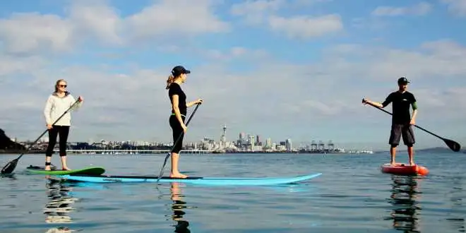 One Hour Stand Up Paddle Board Rental