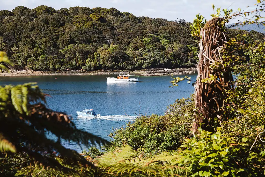 Stewart Island Scenic Flight | Queenstown Round-Trip